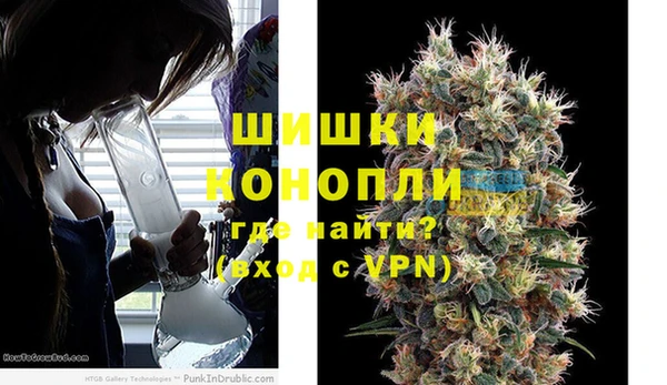 МДПВ Богородск