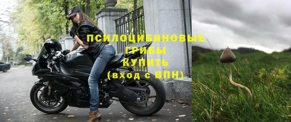 шишки Бугульма